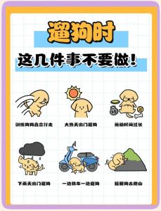 带水软绳避车流冬季短夏季傍晚清理卫生（遛狗一个小时需要带水吗）