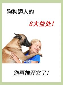 领地本能或皮肤求助？（为什么狗狗喜欢一直蹭人）