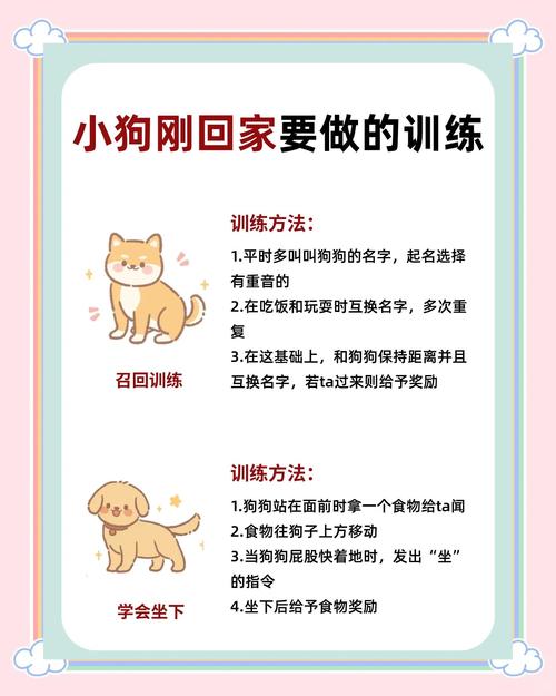 遛狗频率与时间安排(遛狗一天遛几回呀) 遛狗频率与时间安排(遛狗一天遛几回呀)