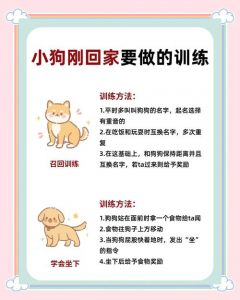 遛狗频率与时间安排（遛狗一天遛几回呀）