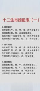狗男牛女性格合不来？多沟通理解是关键（男狗女牛为什么不好）
