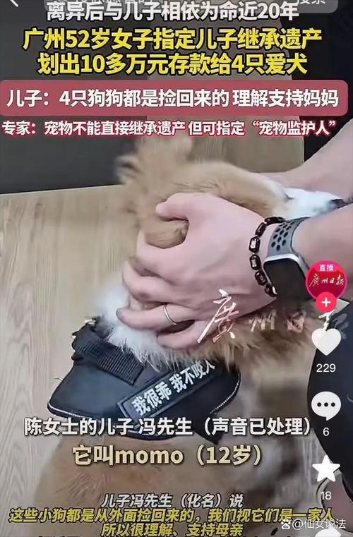 情感寄托与独立宣言(离婚女人养狗的真正原因图片) 情感寄托与独立宣言(离婚女人养狗的真正原因图片)