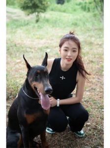 小型犬还是大型犬？（女人 养狗）