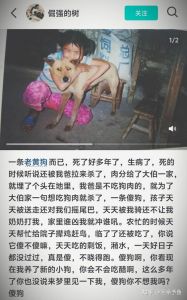 狗狗扒人啥意思？解读它的小心思（大狗为什么爱扒人）
