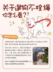 遛狗好处多，狗狗健康快乐！（遛狗的目的是什么）