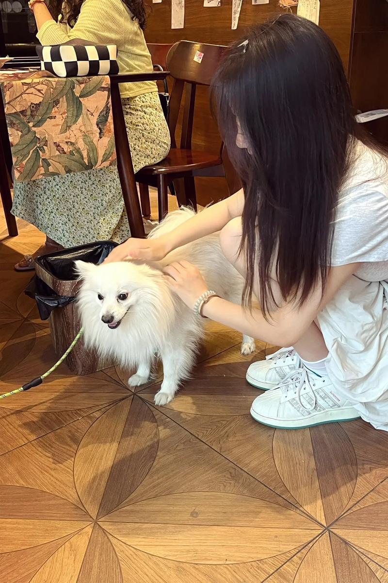 女子一周不洗澡让狗舔身引热议,卫生边界引讨论(女生养狗都是舔自己) 女子一周不洗澡让狗舔身引热议,卫生边界引讨论(女生养狗都是舔自己)