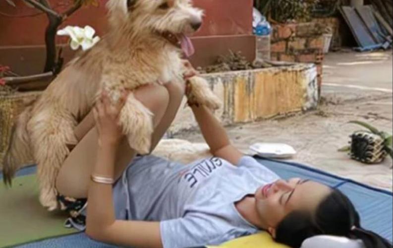 好女不养狗?女性养狗体现独立意识(为什么好女不养狗) 好女不养狗?女性养狗体现独立意识(为什么好女不养狗)