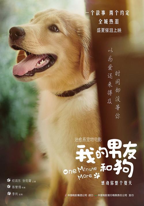 我与它的十个约定(我和狗狗的十个约定夸克) 我与它的十个约定(我和狗狗的十个约定夸克)