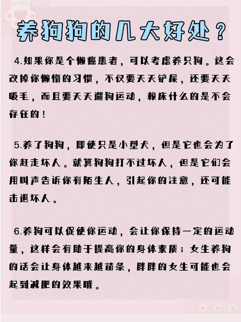 驱虫防疫疫苗换牙护理和科学饮食!(养小狗要做什么) 驱虫防疫疫苗换牙护理和科学饮食!(养小狗要做什么)