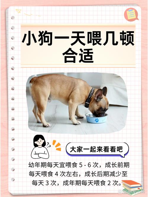母狗不喂奶如何快速回奶?(大狗不喂小狗几天回奶) 母狗不喂奶如何快速回奶?(大狗不喂小狗几天回奶)