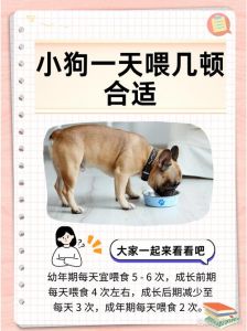 母狗不喂奶如何快速回奶？（大狗不喂小狗几天回奶）