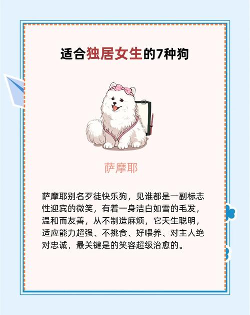 安全感与情感寄托(女人喜欢养大狗) 安全感与情感寄托(女人喜欢养大狗)