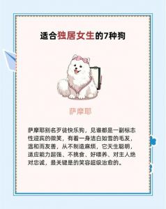 安全感与情感寄托（女人喜欢养大狗）