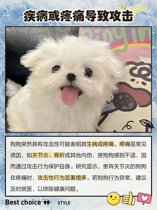 狗狗凶主人原因及应对方法(自家养的狗狗为什么会对主人凶) 狗狗凶主人原因及应对方法(自家养的狗狗为什么会对主人凶)