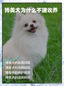 女养狗被偏见阻挠？养宠不分性别！（女的为什么不能养狗）