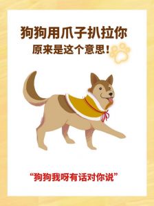 小狗扒拉人，表达需求与情感（小狗扒拉人）
