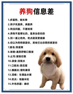 选小型犬，勤运动，科学喂养，保持距离（单身女性养狗的注意事项）