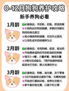 科学繁殖狗，避免乱配风险（你们可以养狗啊狗很容易繁殖嘛）
