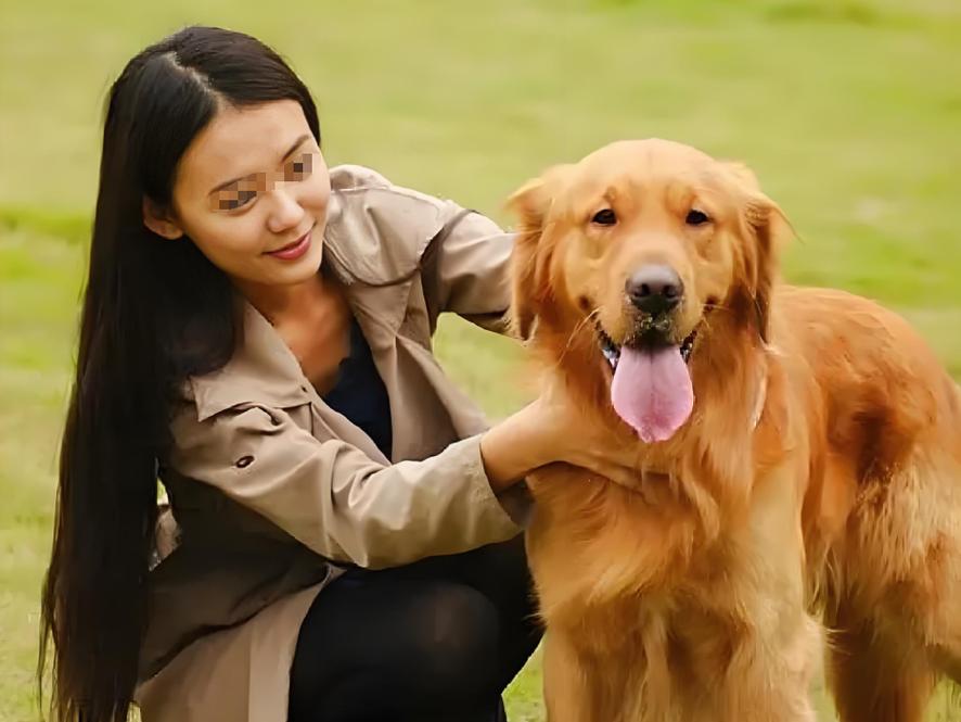 六年训犬守护平安(28岁养条狗的女人) 六年训犬守护平安(28岁养条狗的女人)