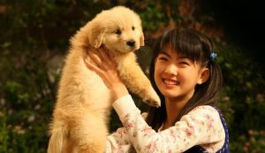 我家狗儿最忠诚，温暖我生活每一天（我与狗狗的幸福约定）