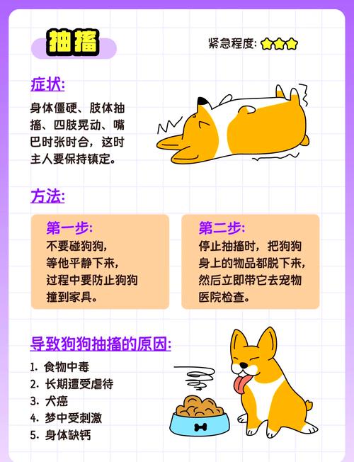 狗咬人怎么办?主人和伤者应对措施(家里养的狗咬人怎么办) 狗咬人怎么办?主人和伤者应对措施(家里养的狗咬人怎么办)