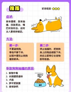 狗咬人怎么办？主人和伤者应对措施（家里养的狗咬人怎么办）