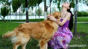解孤独添责任，选对更快乐（单身女的狗）
