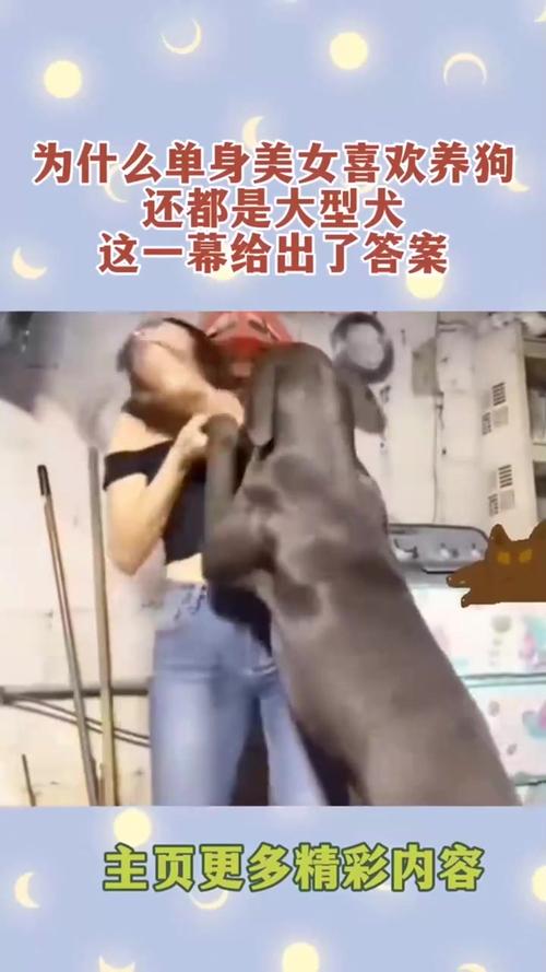 武汉女子遛狗不牵绳,狗伤童拒道歉,文明养狗引热议(养狗女人毁三观聊天图) 武汉女子遛狗不牵绳,狗伤童拒道歉,文明养狗引热议(养狗女人毁三观聊天图)