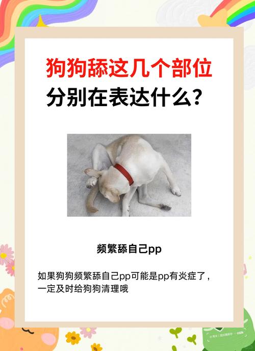 女子一周不洗澡让狗舔身引热议,卫生边界引讨论(女生养狗都是舔自己) 女子一周不洗澡让狗舔身引热议,卫生边界引讨论(女生养狗都是舔自己)