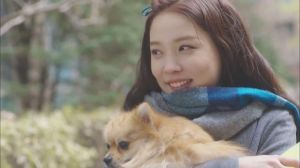 不止安全感，还有陪伴与自信（单身女和宠物狗）