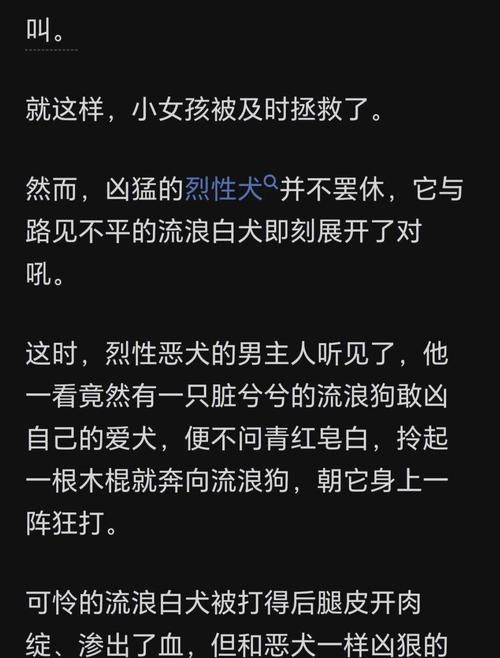 治愈系陪伴成长故事(我和狗狗的十个约定观后感) 治愈系陪伴成长故事(我和狗狗的十个约定观后感)