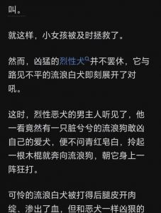 治愈系陪伴成长故事（我和狗狗的十个约定观后感）