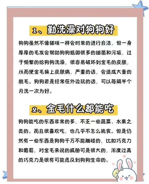笼子疫苗食物,责任重大需考虑(第一次养狗的注意事项) 笼子疫苗食物,责任重大需考虑(第一次养狗的注意事项)