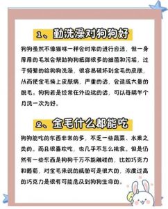 笼子疫苗食物，责任重大需考虑（第一次养狗的注意事项）