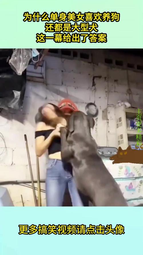 情感陪伴与社交乐趣(女生为什么喜欢养狗) 情感陪伴与社交乐趣(女生为什么喜欢养狗)