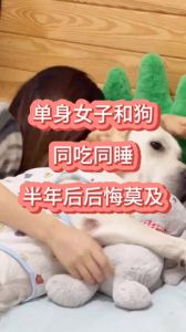生理期注意，保持适当距离更健康（狗与女人的关系）