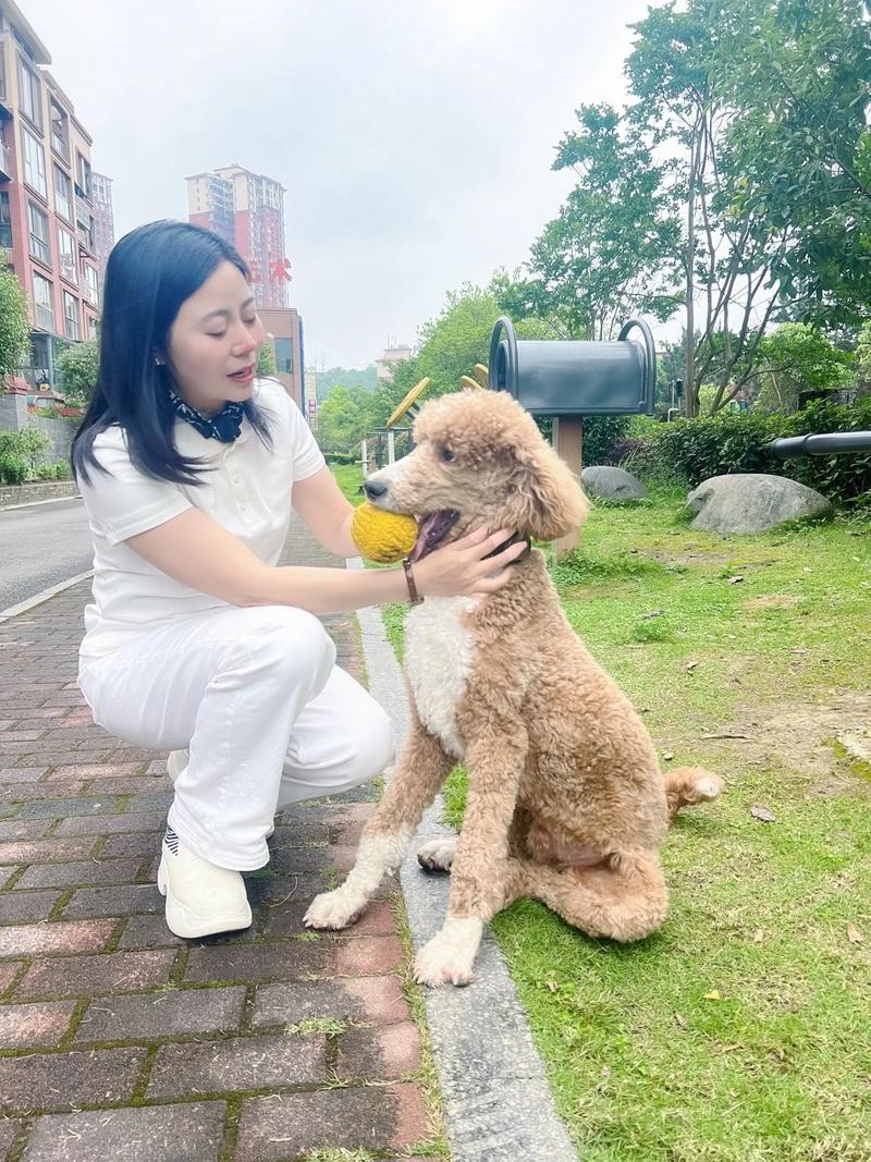 共情耐人,靠谱温暖(爱养狗的女人怎么样) 共情耐人,靠谱温暖(爱养狗的女人怎么样)