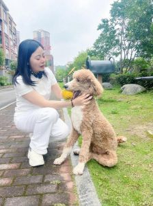 共情耐人，靠谱温暖（爱养狗的女人怎么样）