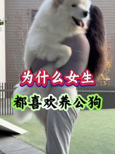 安全感与治愈力的完美结合（女人为什么爱养大狗）
