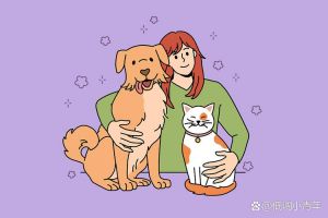 漫画家与狗狗的幸福生活，治愈心灵，提升幸福感（我和狗狗的幸福生活漫画）