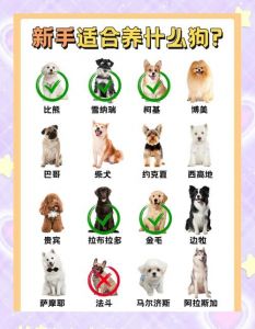 猴女养狗易矛盾，选温顺宠物更合适（属猴女适合养狗嘛）
