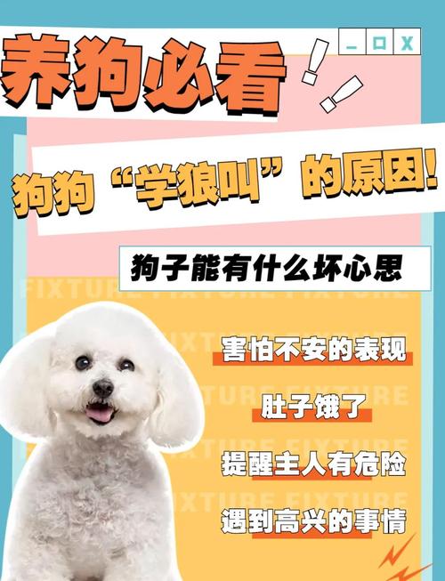 小狗吠叫多因胆小,大狗更淡定(为什么小狗爱玩大狗不爱) 小狗吠叫多因胆小,大狗更淡定(为什么小狗爱玩大狗不爱)