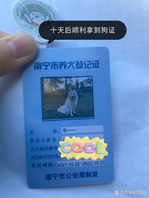保障安全,责任与权益的平衡(狗办狗证的目的是什么) 保障安全,责任与权益的平衡(狗办狗证的目的是什么)