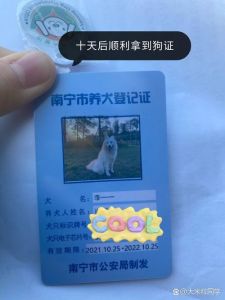 保障安全，责任与权益的平衡（狗办狗证的目的是什么）