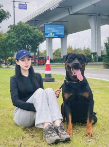 情感寄托与心灵伴侣（是不是女生都养狗啊）