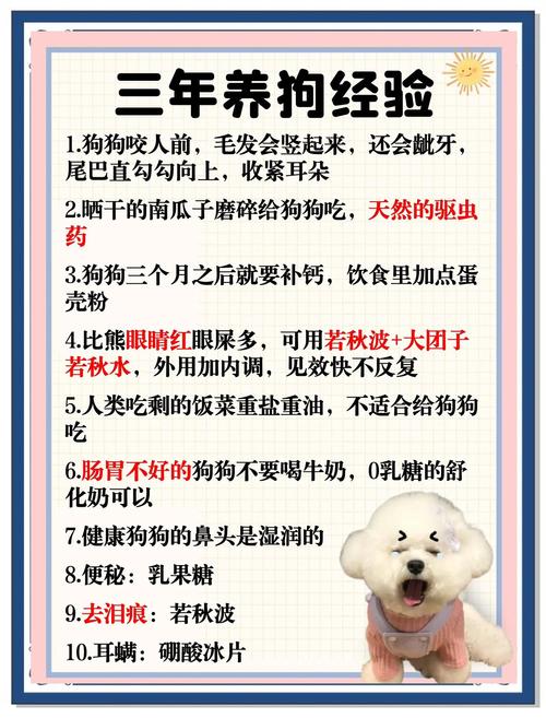 健康社交两不误!(遛狗的主要目的) 健康社交两不误!(遛狗的主要目的)