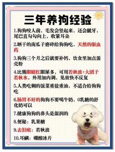 健康社交两不误！（遛狗的主要目的）