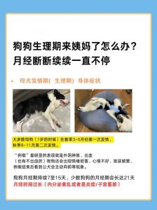女子过度爱狗，迷失自我损健康（为什么养狗的女人多数不正常）