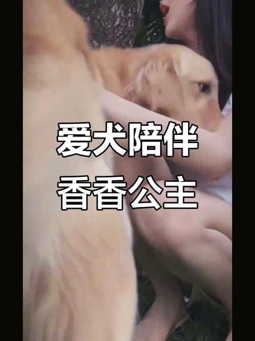 香香公主与金毛情深似姐妹(香香公主和狗配对) 香香公主与金毛情深似姐妹(香香公主和狗配对)