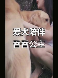 香香公主与金毛情深似姐妹（香香公主和狗配对）